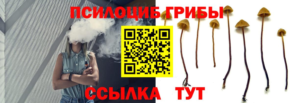Кубинка  Галлюциногенные грибы мухоморы  Вход с VPN 
